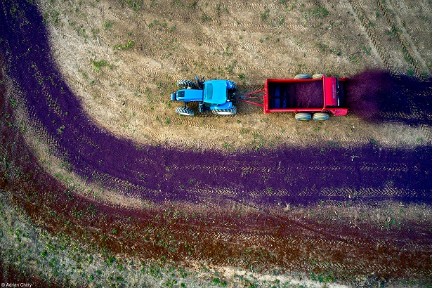 Adrian Chitty_Spreading Pomace